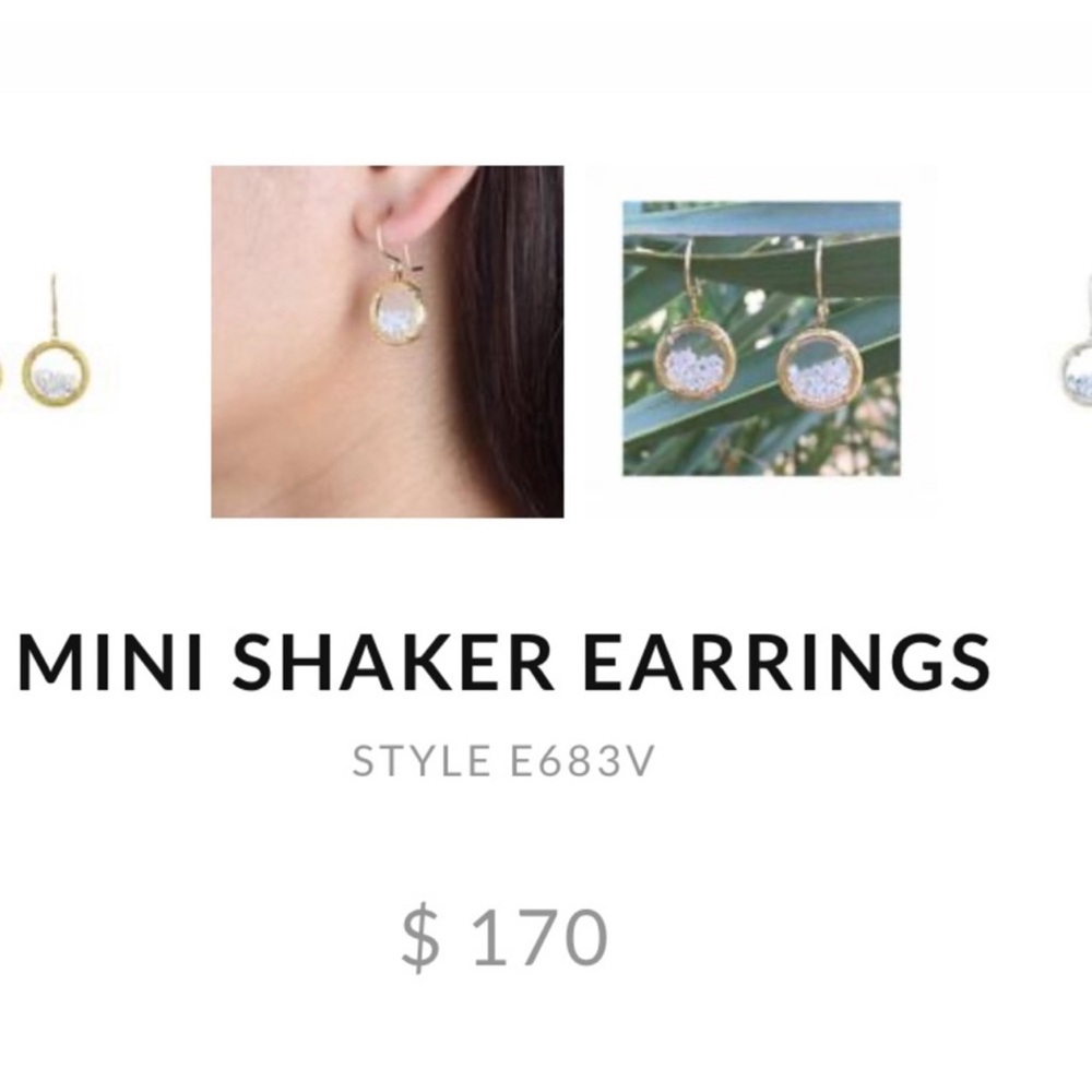 Catherine Weitzman Small Silver Round Swarovski Crystal Shaker Earrings-Boutique - Picture 6 of 6